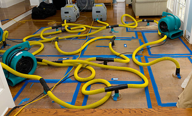 Professional Sewage Cleanup technician working in White Deer, TX